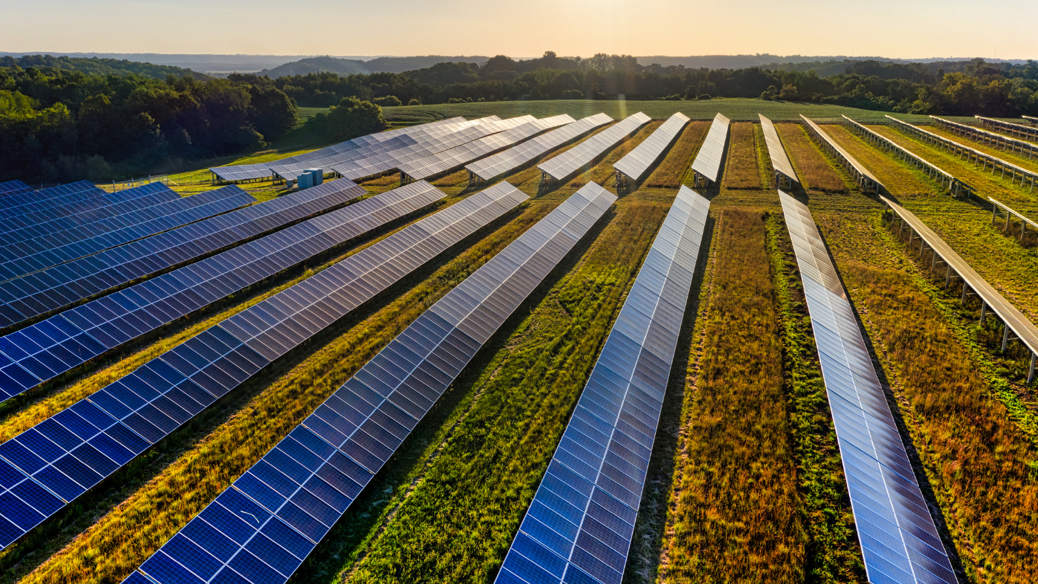 Ein Feld voll mit Photovoltaik-Anlagen.