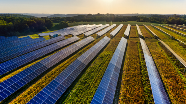 Feld voll mit Photovoltaik